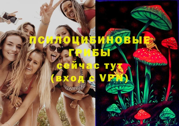 дмт Богородицк