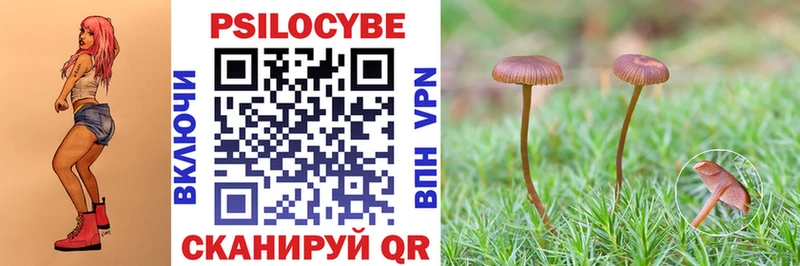 магазин продажи наркотиков Духовщина Псилоцибиновые грибы GOLDEN TEACHER